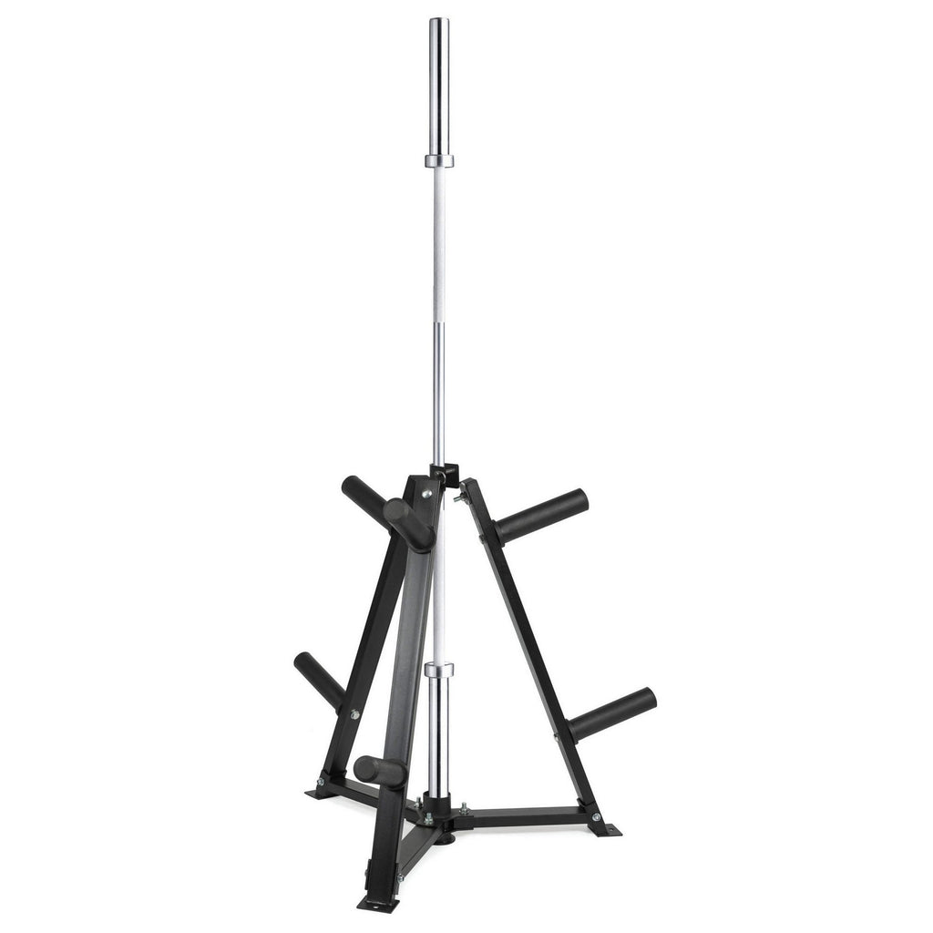 Vertical Weight Plates & Dumbbell Rack – Heavy‑Duty Steel Frame, 300 kg Capacity, Fasten Clamps, Space‑Saving Home Gym Storage