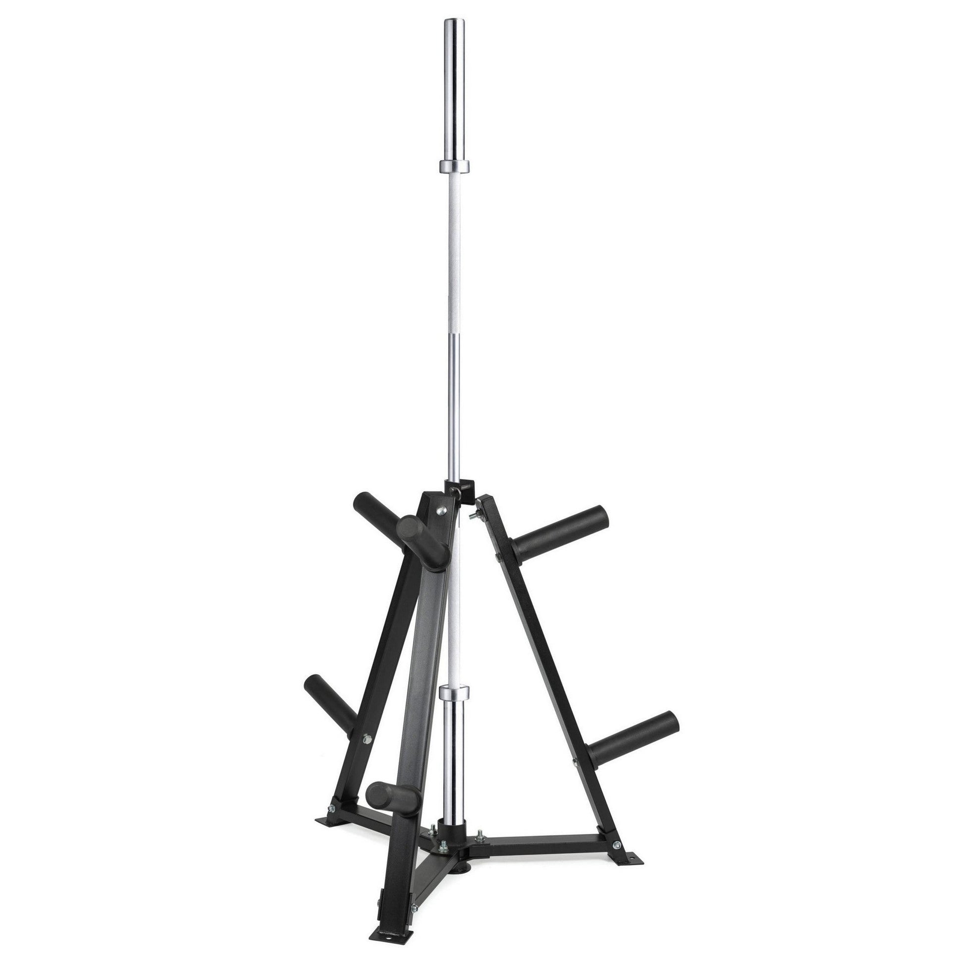 Vertical Weight Plates & Dumbbell Rack – Heavy‑Duty Steel Frame, 300 kg Capacity, Fasten Clamps, Space‑Saving Home Gym Storage
