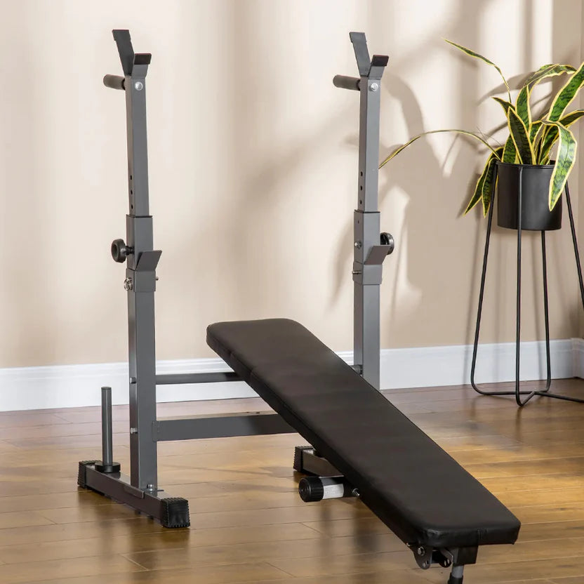 Black weight bench with adjustable backrest in a room with a plant and wooden floor.
